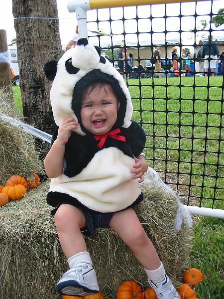 114-1435_IMG.JPG - Someone doesnt like their costume.