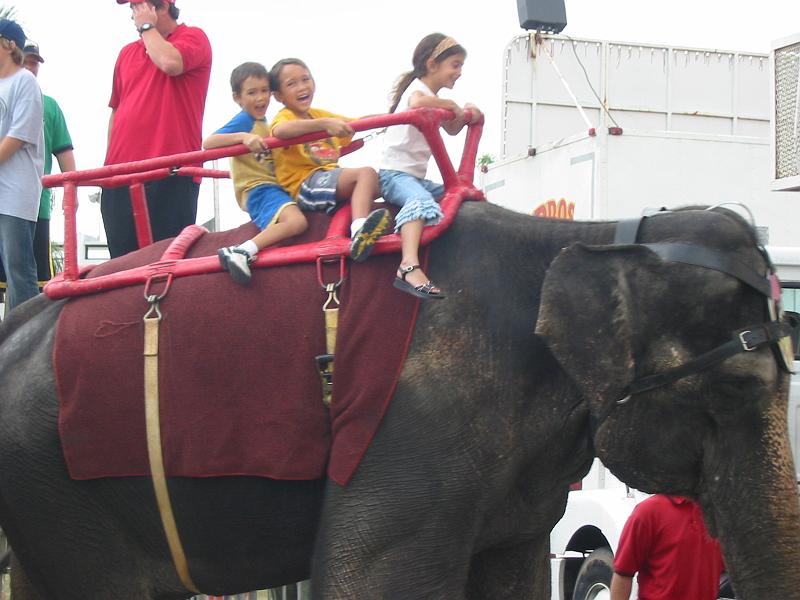 114-1439_IMG.JPG - Hunter & Trevor riding the elephant at the circus.