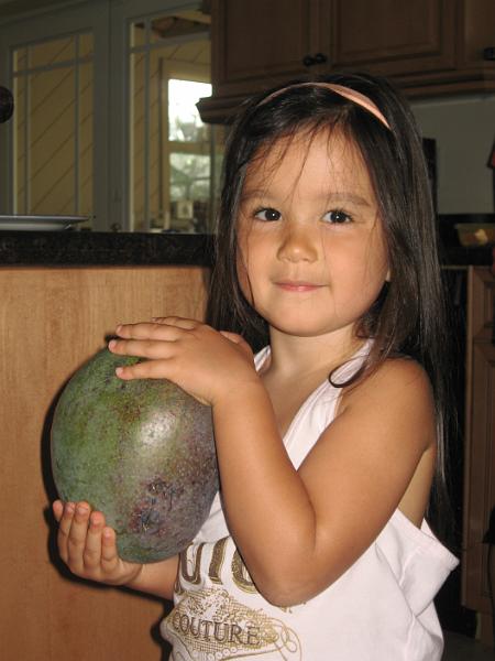 IMG_0347.JPG - Chloe could barely hold the mango - it was too heavy.